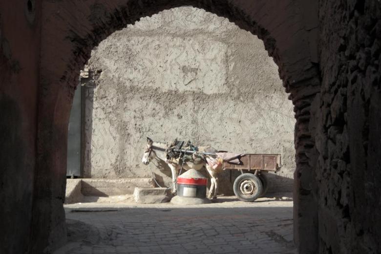 marrakesch_dez_2016-216